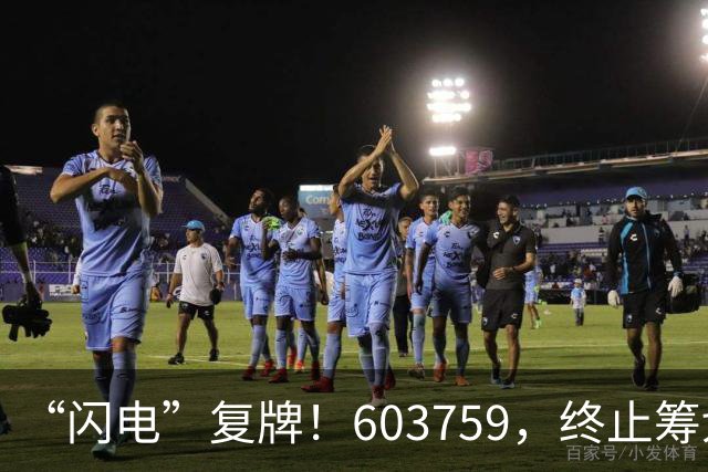 “闪电”复牌！603759，终止筹划重大事项